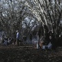Filename=SPN_1125.jpg
Filesize=585KiB
Dimensions=1920x1080
Date added=Feb 12, 2026 SPN_1125.jpg