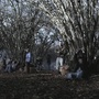 Filename=SPN_1126.jpg
Filesize=585KiB
Dimensions=1920x1080
Date added=Feb 12, 2026 SPN_1126.jpg