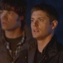 Filename=SPN_1023.jpg
Filesize=120KiB
Dimensions=1920x1080
Date added=Feb 12, 2026 SPN_1023.jpg