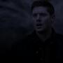 SPN_0029.jpg