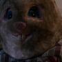 SPN_0055.jpg