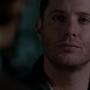 SPN_1707.jpg