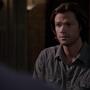 SPN_0520.jpg