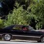 SPN_0543.jpg