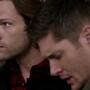 SPN_0869.jpg