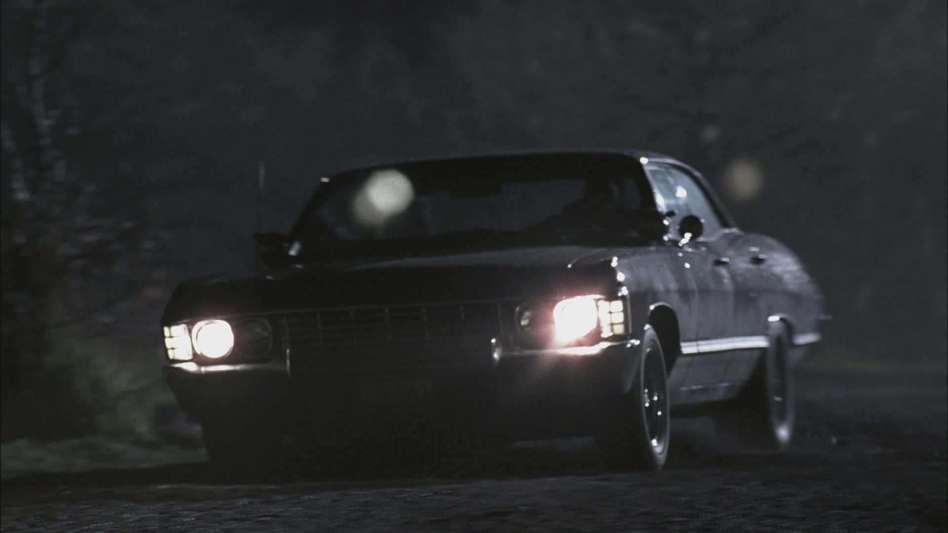 SPN_0236.jpg