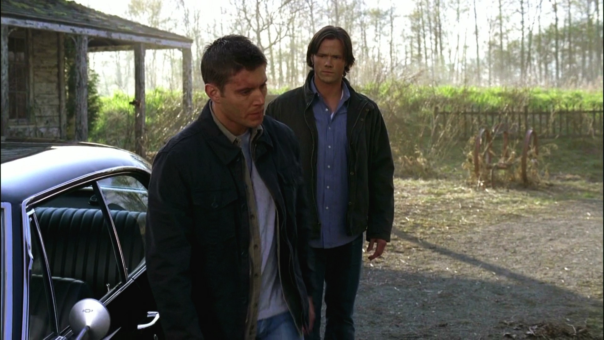 3x16_0581.jpg