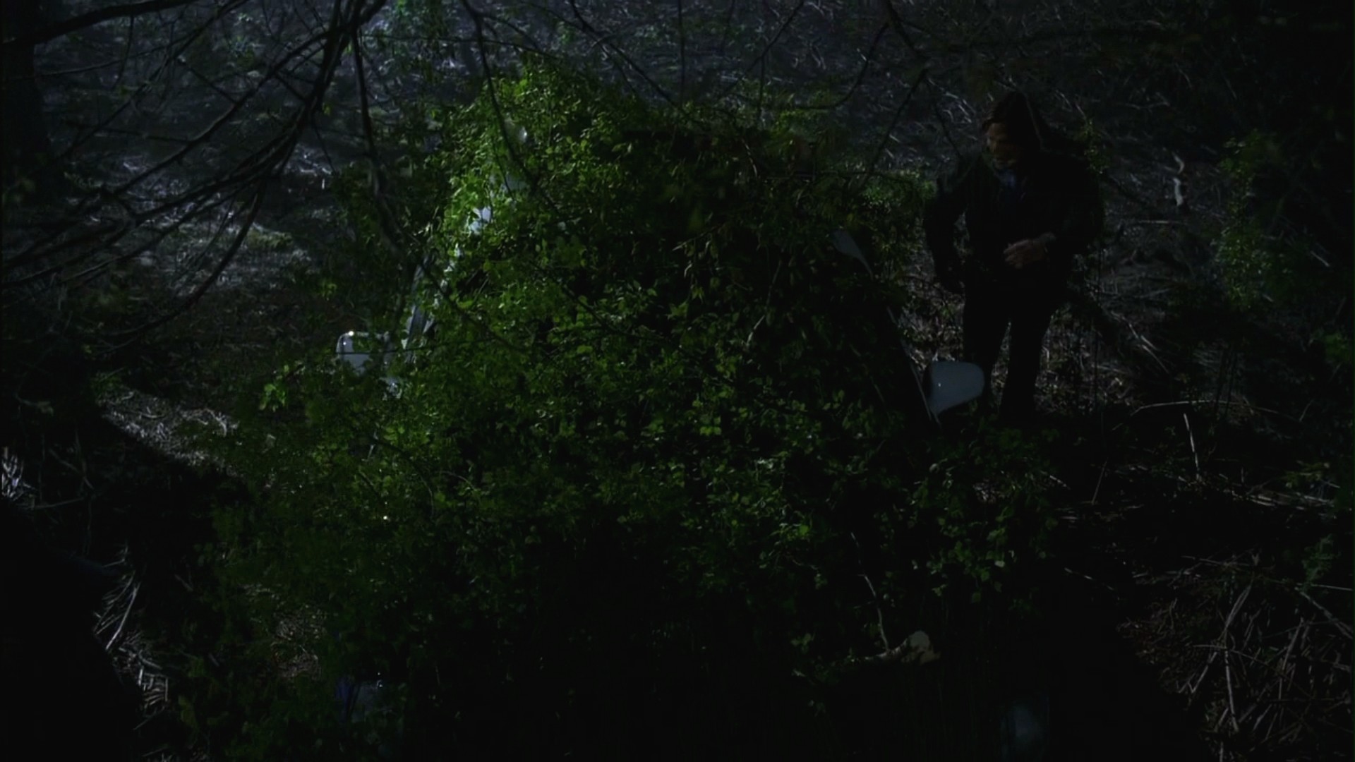 3x16_0680.jpg