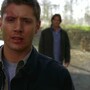 3x16_0583.jpg