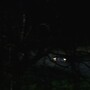 3x16_0585.jpg