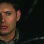 3x16_0589.jpg