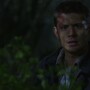 3x16_0661.jpg