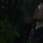 3x16_0672.jpg