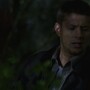 3x16_0677.jpg