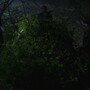 3x16_0678.jpg