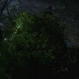 3x16_0679.jpg