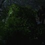 3x16_0680.jpg