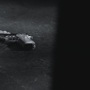 SPN_1060.jpg