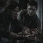 SPN_1170.jpg