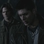 SPN_1185.jpg