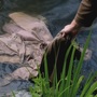 Filename=SPN_0163.jpg
Filesize=119KiB
Dimensions=1280x720
Date added=Feb 12, 2026 SPN_0163.jpg