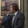 SPN_0523.jpg