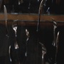 SPN_0557.jpg