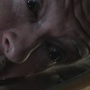 SPN_0565.jpg