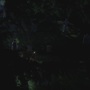 SPN_0958.jpg