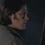 SPN_0431.jpg