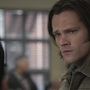 Filename=SPN_0772.jpg
Filesize=64KiB
Dimensions=1280x720
Date added=Feb 12, 2026 SPN_0772.jpg