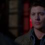 SPN_0223.jpg