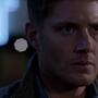 SPN_0296.jpg