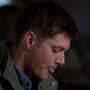 SPN_0419.jpg