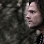 SPN_0553.jpg
