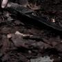 Filename=SPN_0625.jpg
Filesize=87KiB
Dimensions=1280x720
Date added=Feb 12, 2026 SPN_0625.jpg