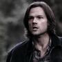 SPN_1330.jpg