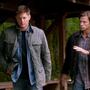 Filename=SPN_0084.jpg
Filesize=92KiB
Dimensions=1280x720
Date added=Feb 12, 2026 SPN_0084.jpg