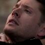 Filename=SPN_1241.jpg
Filesize=52KiB
Dimensions=1280x720
Date added=Feb 12, 2026 SPN_1241.jpg