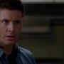 SPN_1103.jpg