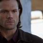 SPN_1226.jpg