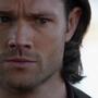 SPN_1245.jpg