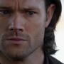 SPN_1246.jpg