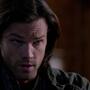 SPN_1010.jpg