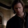 SPN_0116.jpg