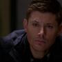 SPN_0688.jpg